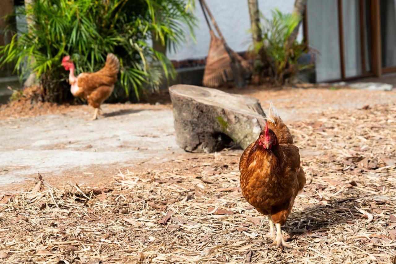 Aldea Sabatinga Villa Manizales Kültér fotó