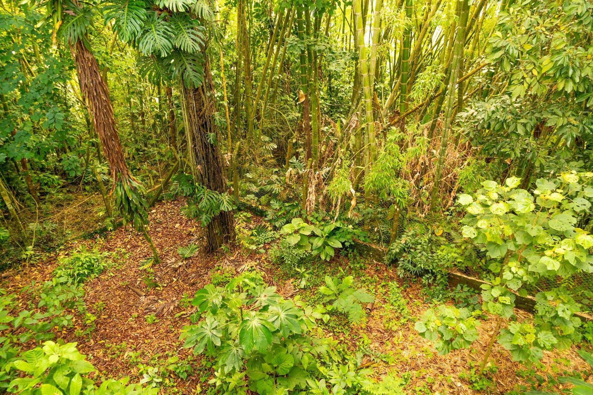Aldea Sabatinga Villa Manizales Kültér fotó