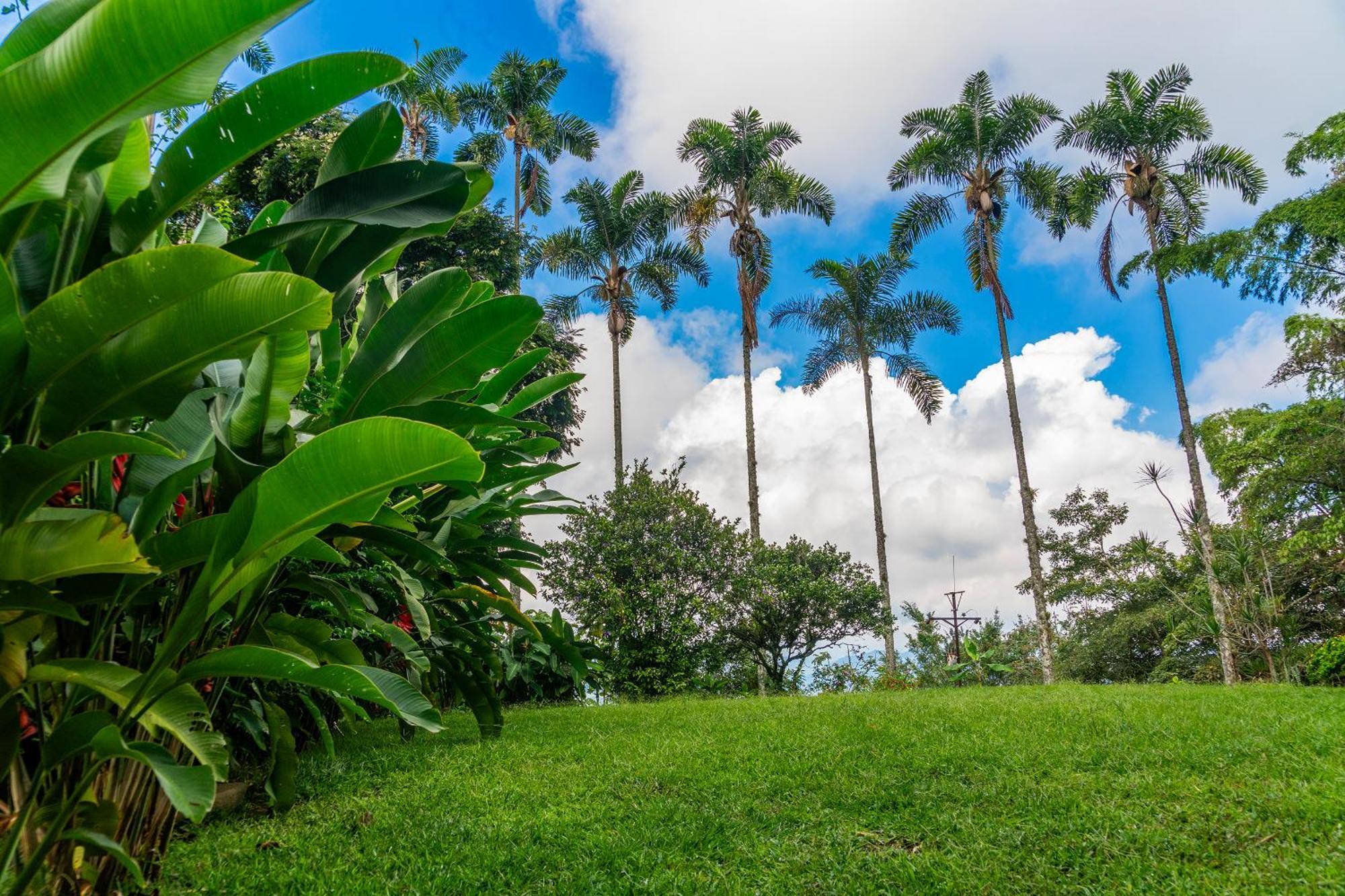 Aldea Sabatinga Villa Manizales Kültér fotó